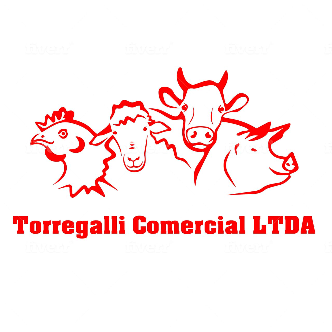 torregalliltda Logo